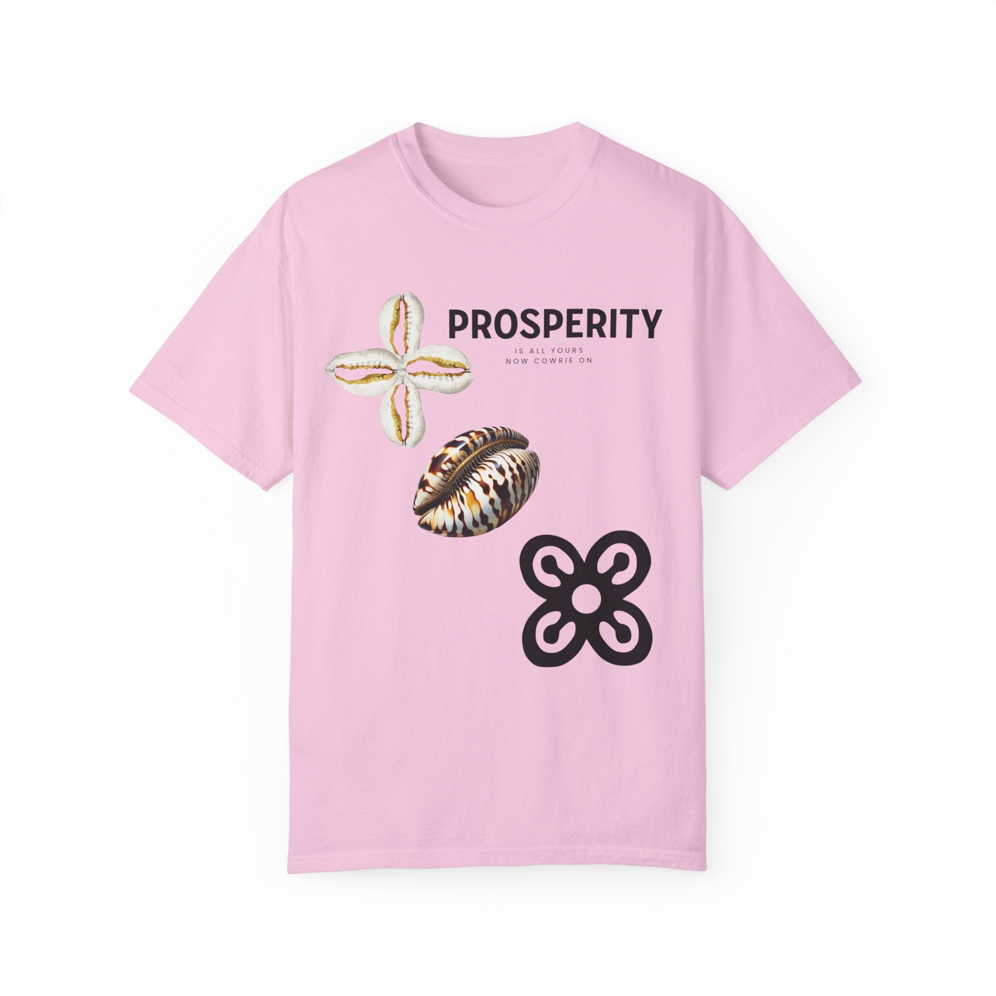 GOLDxTEAL prosperity graphics tee.