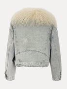 GOLDxTEAL denim biker style jacket with Mongolian fur shawl collar.