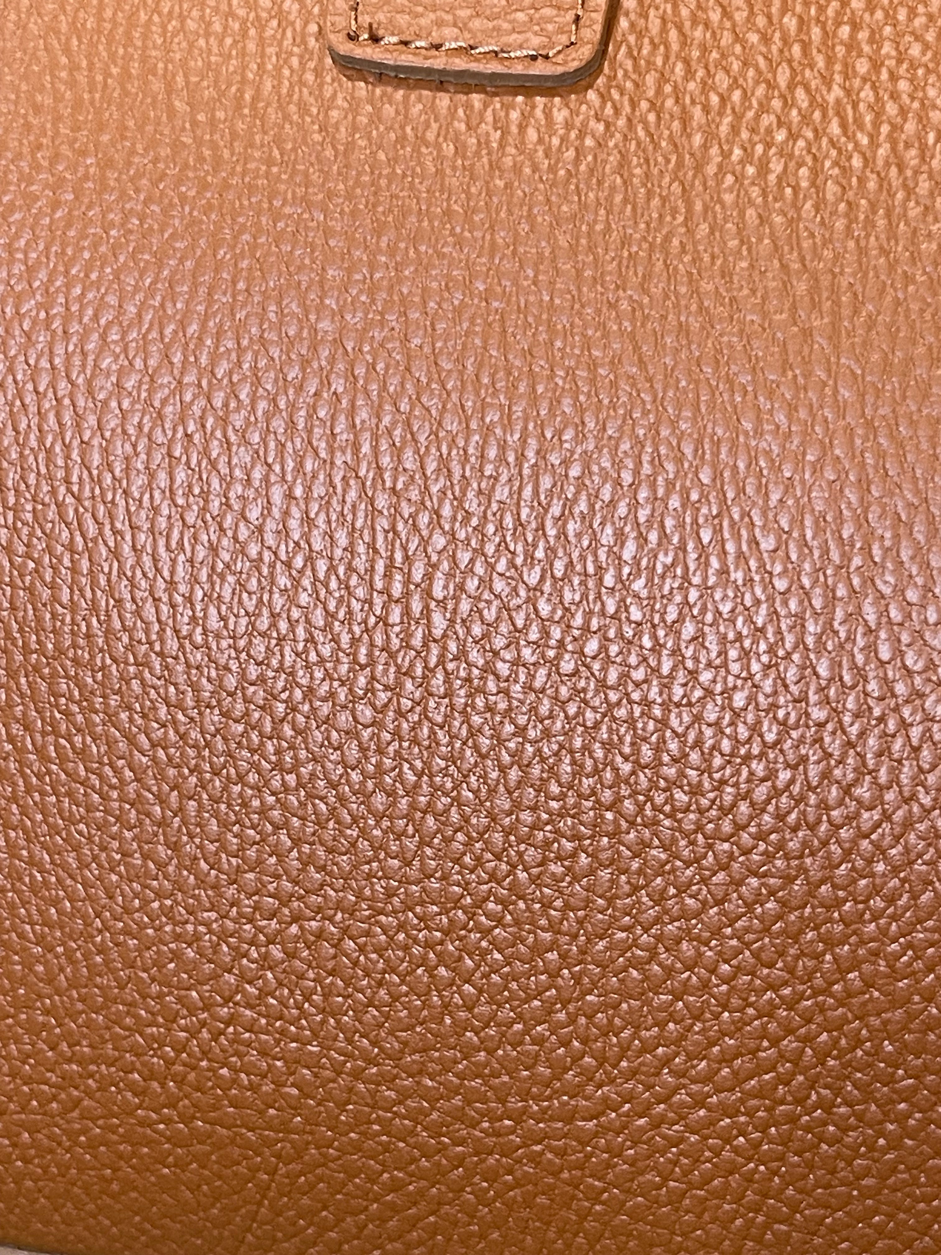 GOLDxTEAL gorgeous amber leather color handbag with gold metal lock.