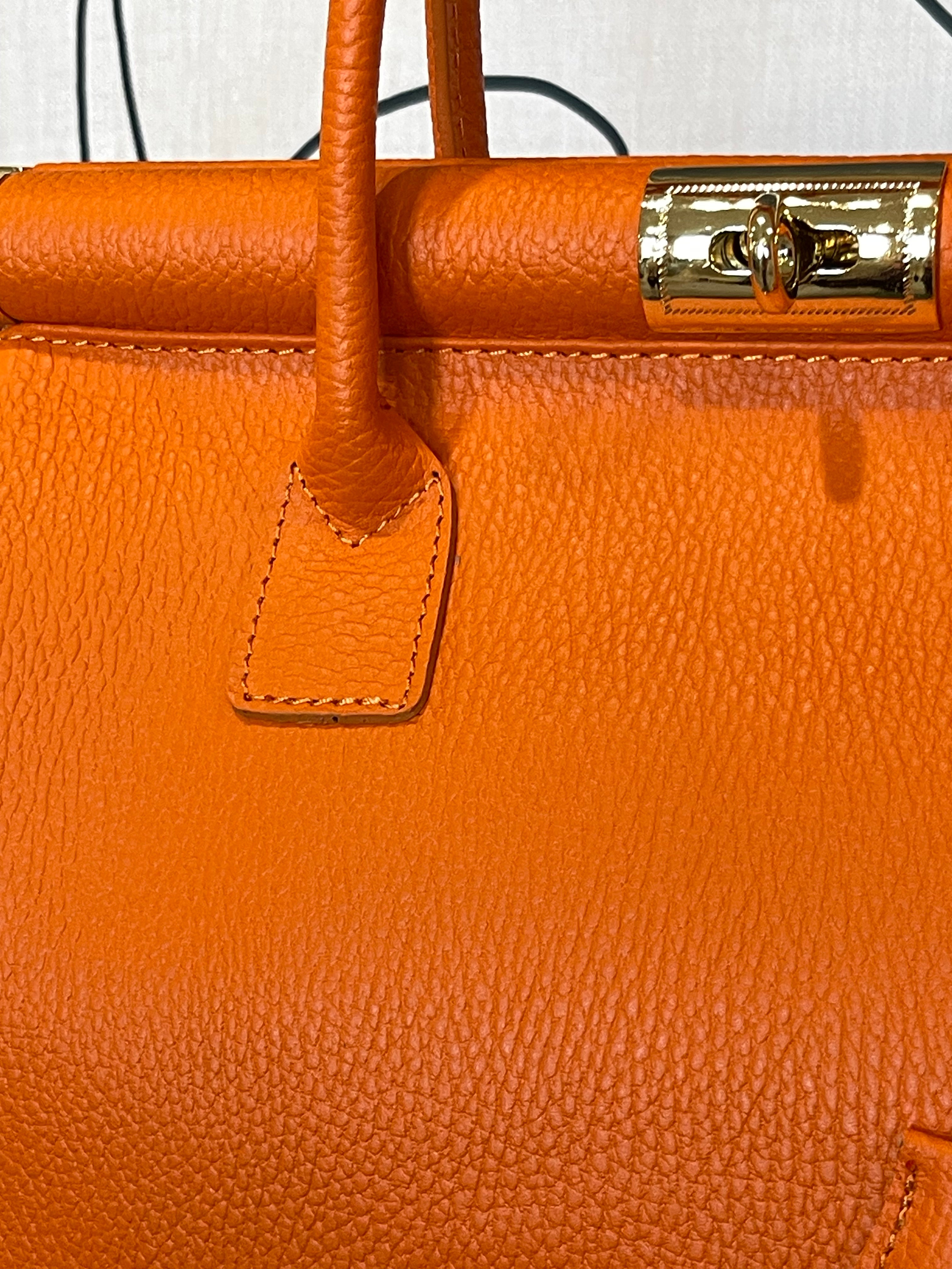 GOLDxTEAL gorgeous orange leather gold metal lock handbag.