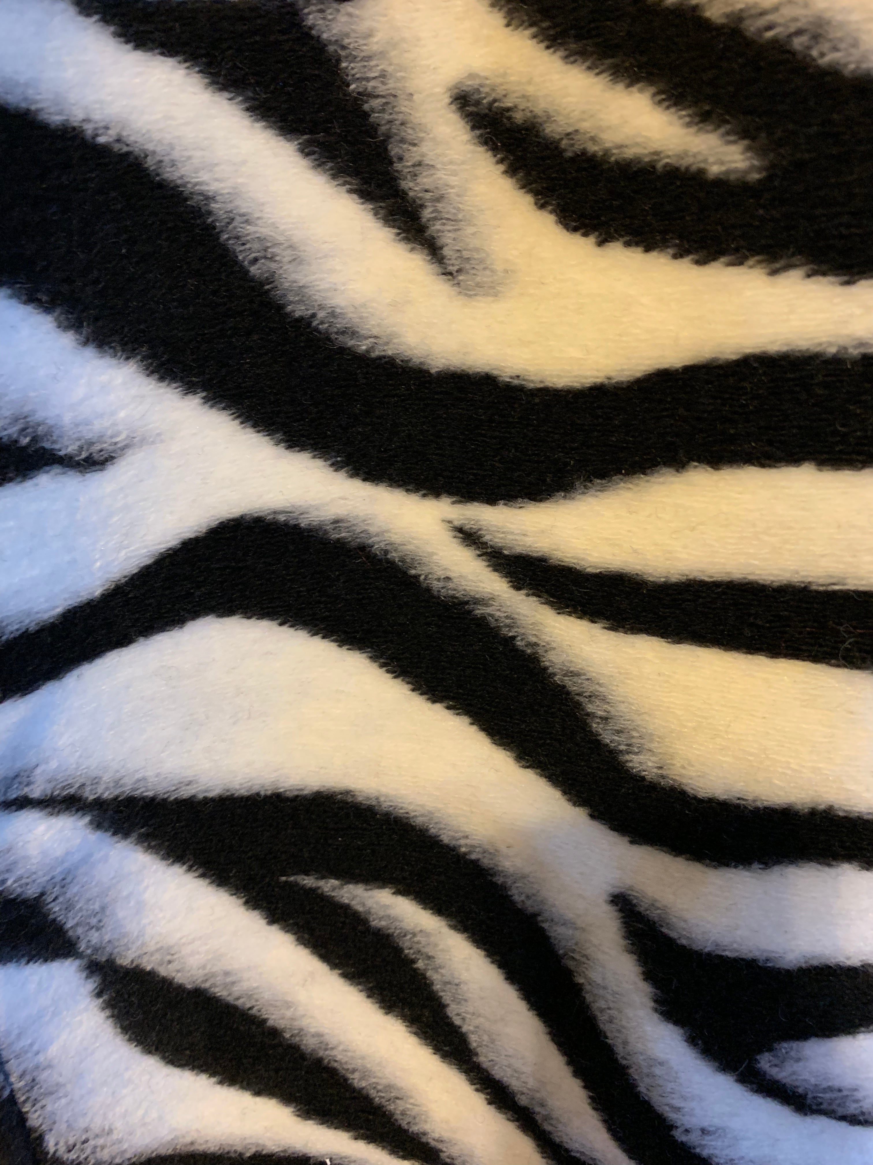 GOLDxTEAL gorgeous zebra print coat.